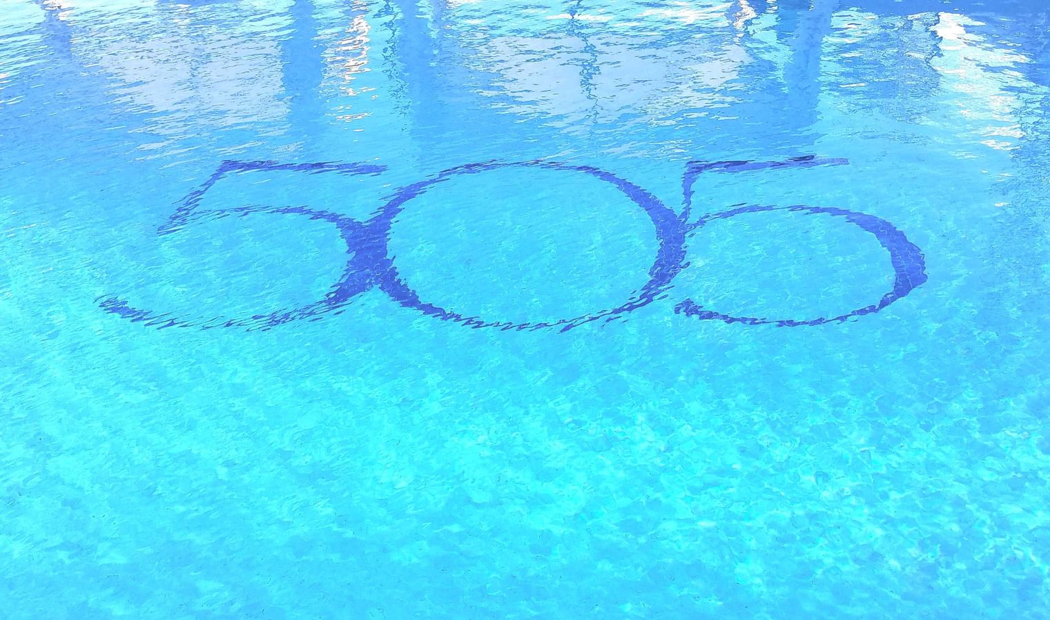505 Pool Shot