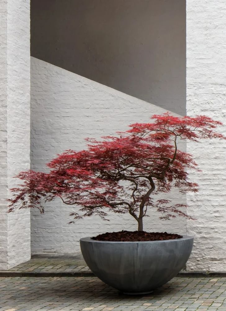 Domani Zinc Half Bowl Planter