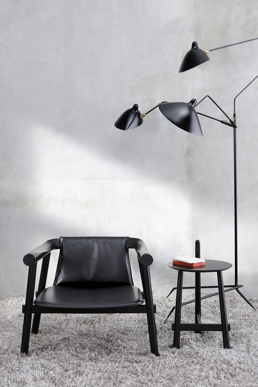 Fauteuil Altay Design  P Urquiola Coedition 7