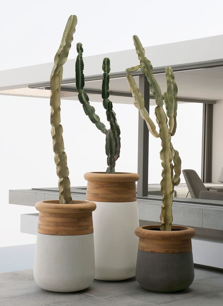 Indigenus Soma Planters