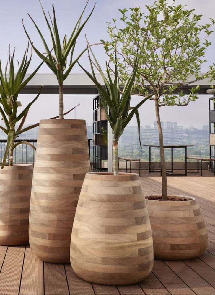 Indigenus Tuber Planter