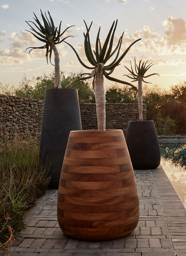 Indigenus Tuber Planters