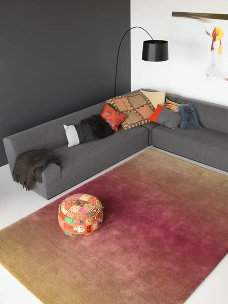 The Cameleon By Carpet Sign At Haute Living