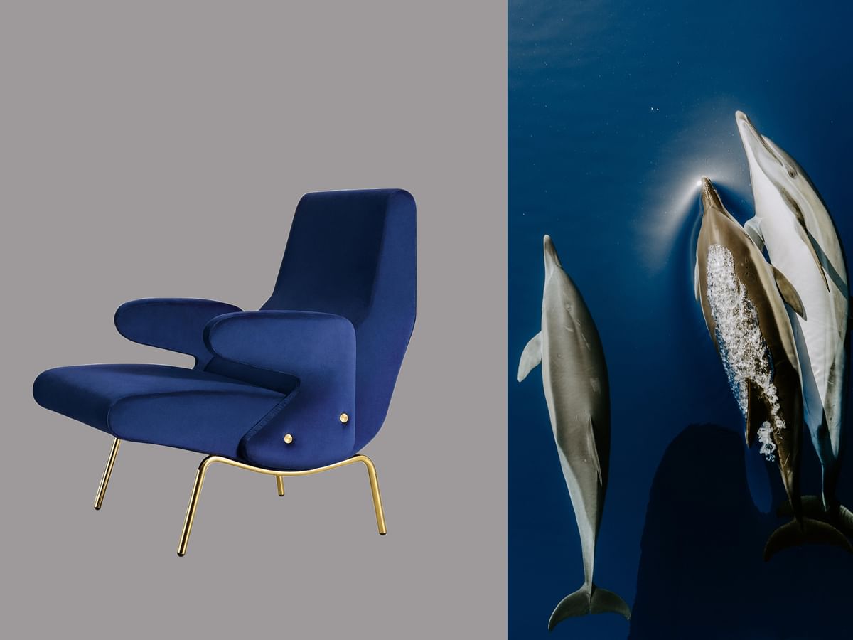 Arflex delfino chair edit