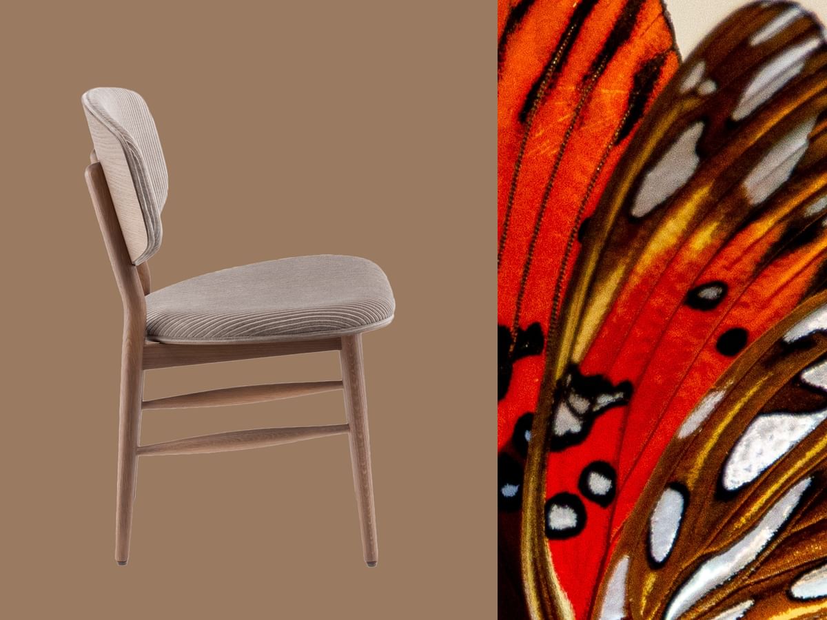 Dle butterfly chair edit
