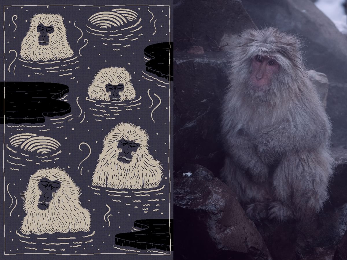 Moooi indigo macaque carpet edit