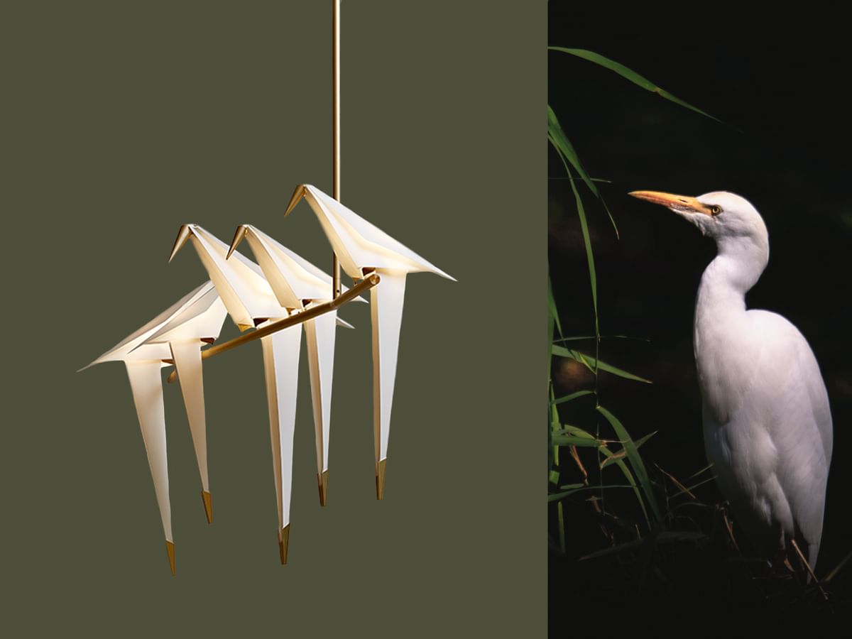 Moooi perch light edit copy