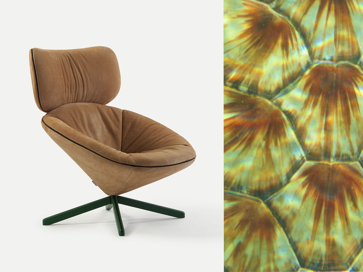 Sancal tortuga chair edit copy