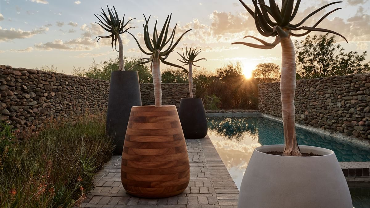 Indigenus Tuber Planter Residential Haute Living