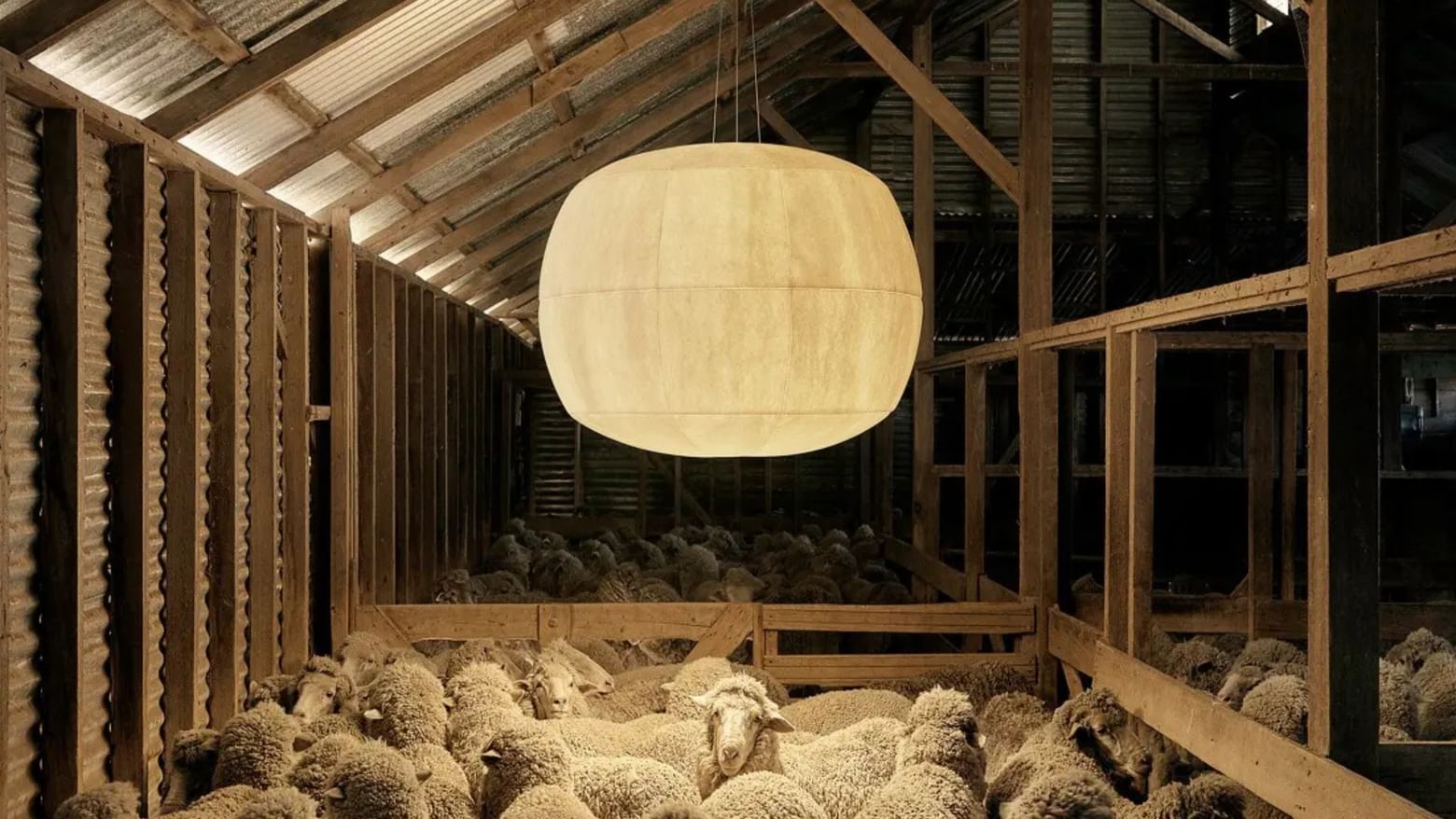 Rakumba Big Glow Light Thumbnail Salone