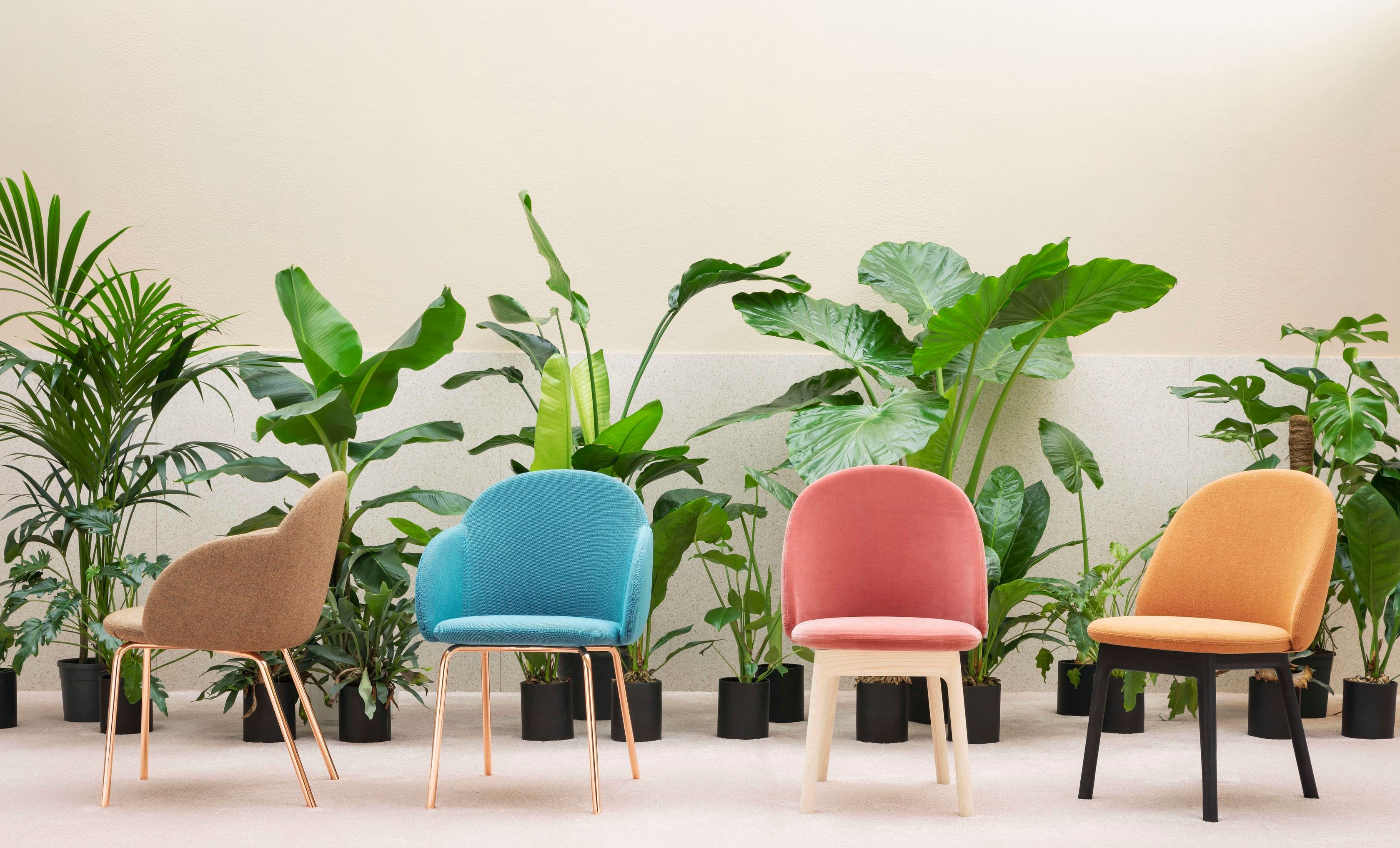 Miniforms-iola-armchair-group-haute-living