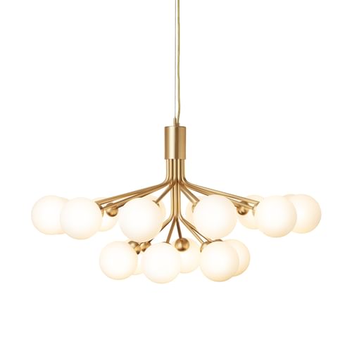 Apiales 18 Brushed Brass 2