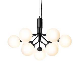 Apiales 18 Satin Black Smoked 6