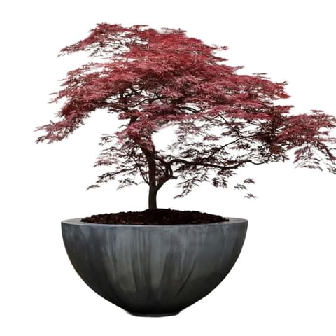 Domani NLVA Zinc Half Bowl thumbnail