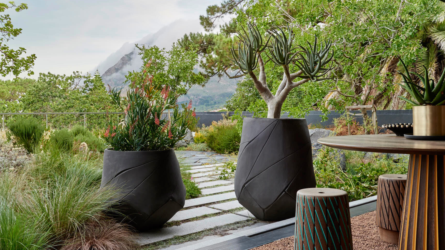 Indigenous Bhaca Planter Collection