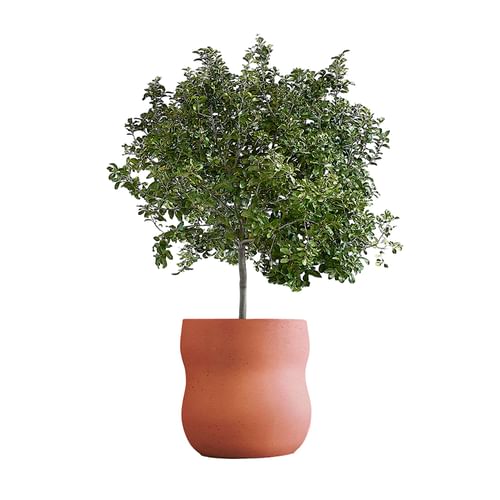 Indigenus Planters Pebble Planter Medium 1