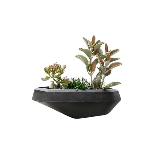 Indigenus Planters Steen Planter Collection 2