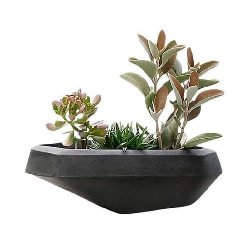 Indigenus Planters Steen Planter Collection Thumbnail