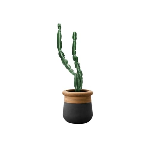 Indigenus Planters Soma Planter Collection 2