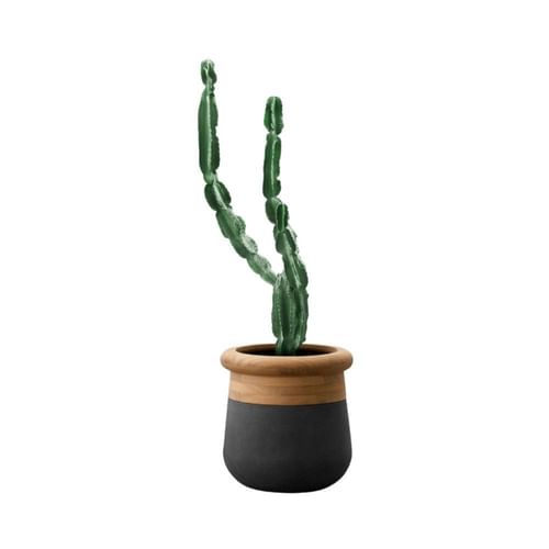 Indigenus Planters Soma Planter Collection Thumbnail