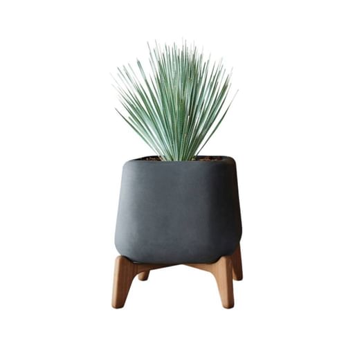 Indigenus Planters Terra Planter Collection Thumbnail