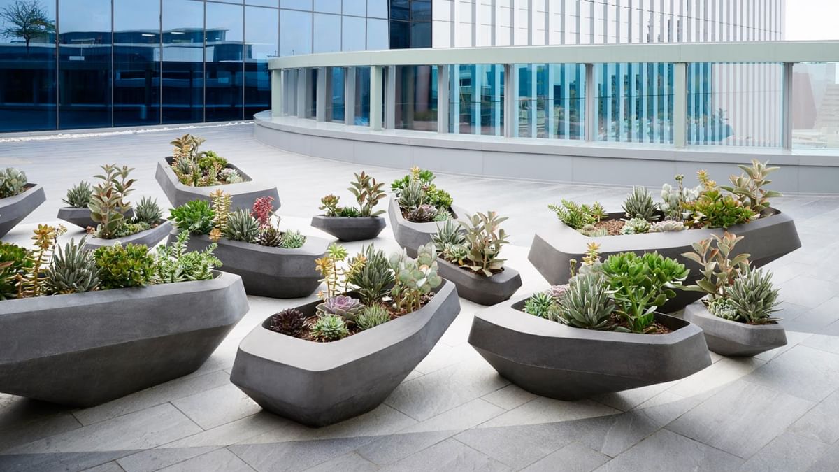 Indigenus Steen Planter