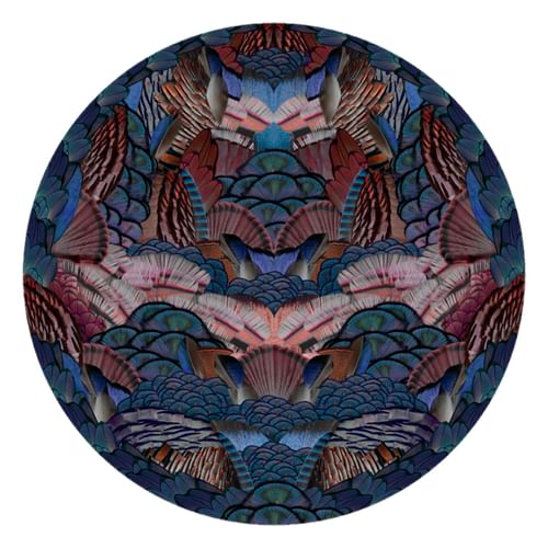 Moooi Carpets Calligraphy Bird Carpet 02