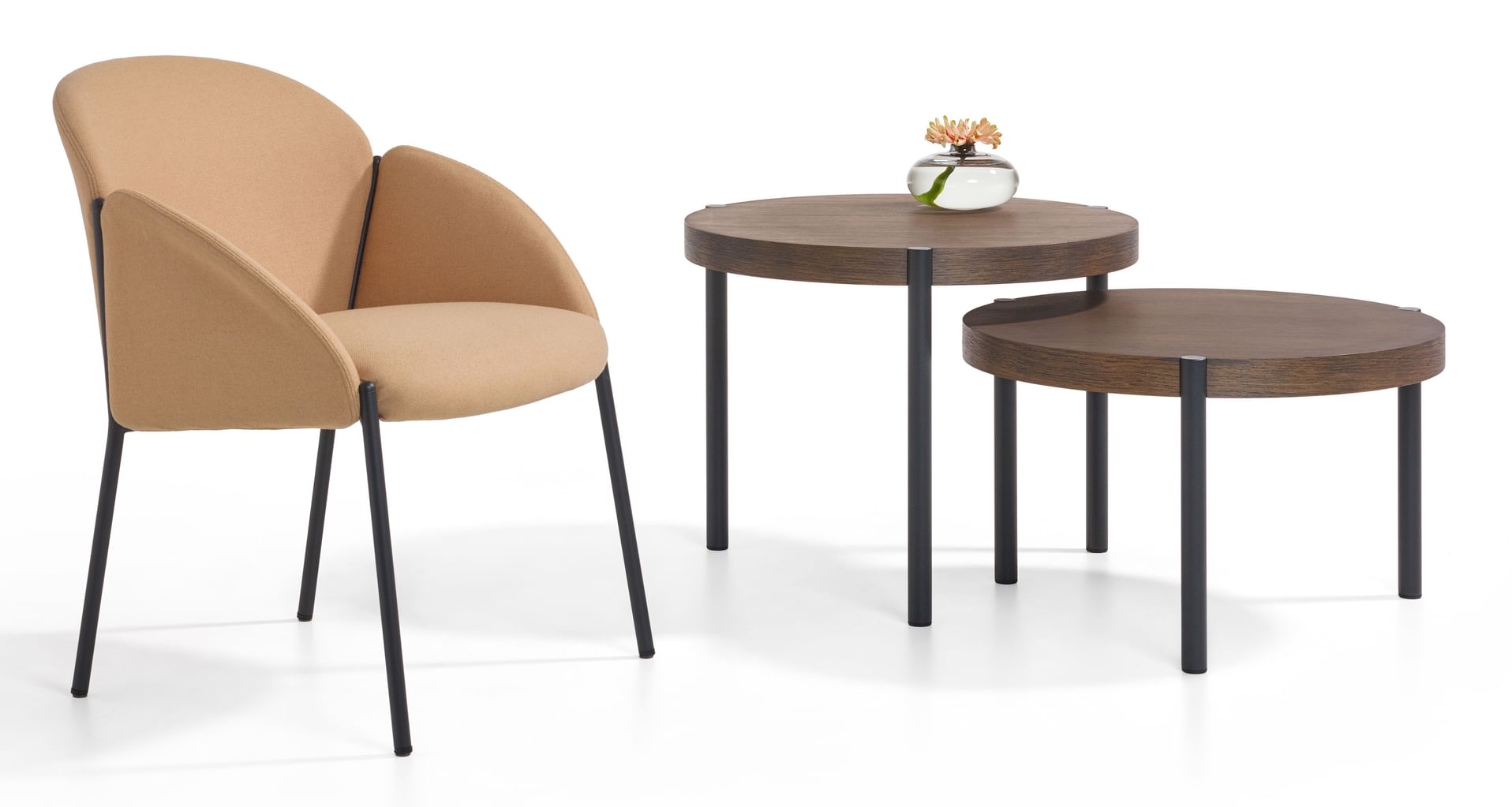 Andrea Chair by Artifort | Haute Living