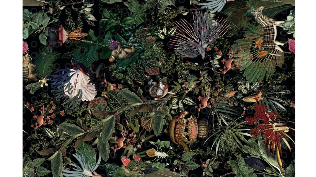 Moooi menagerie carpet